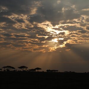 Serengeti National Park sunrise, Tanzania, Africa