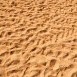 Footsteps in the sand on the beach texture