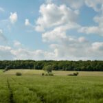 Beautiful blue sky on green treeline landscape