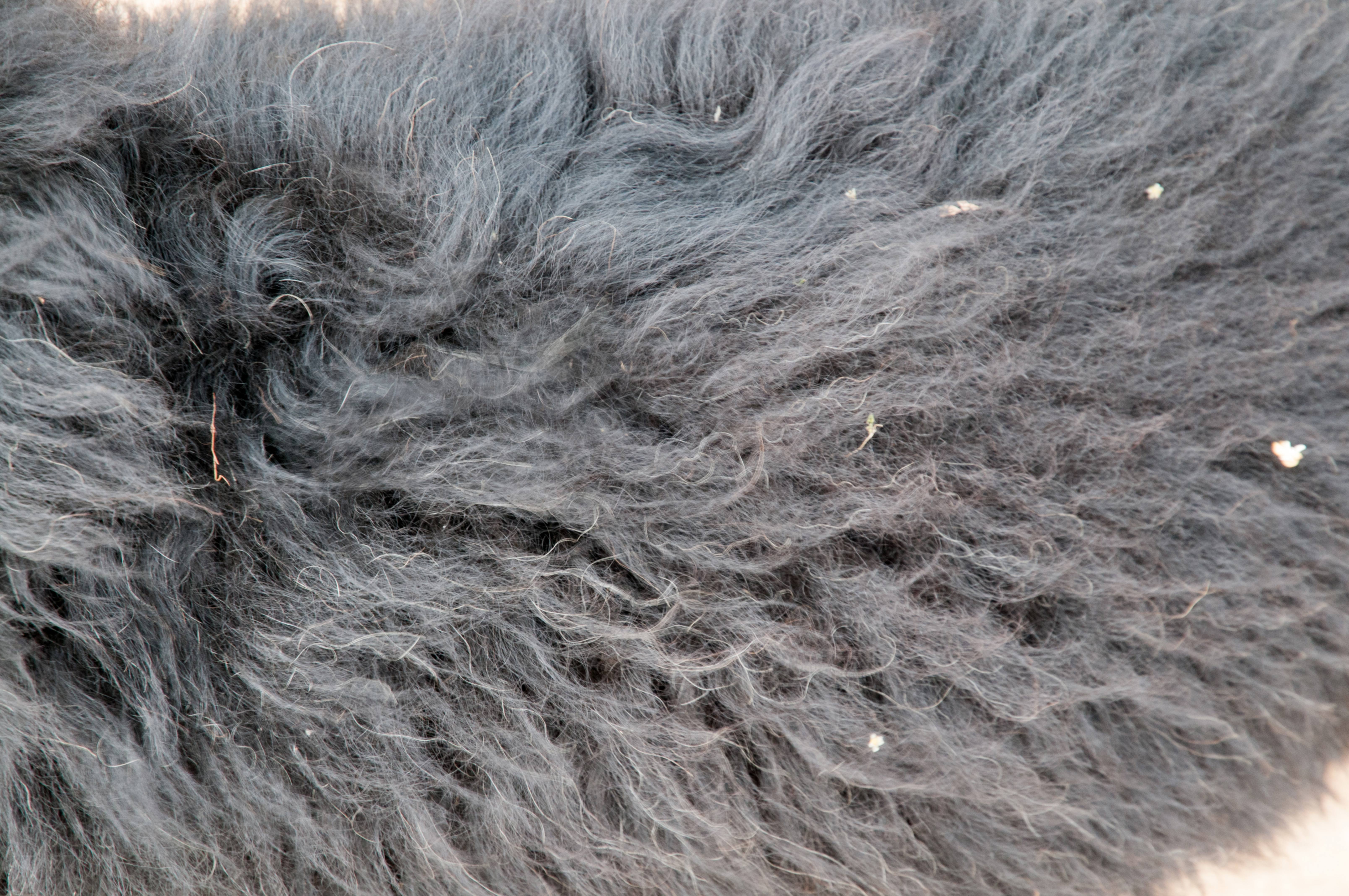 Black Goat Fur