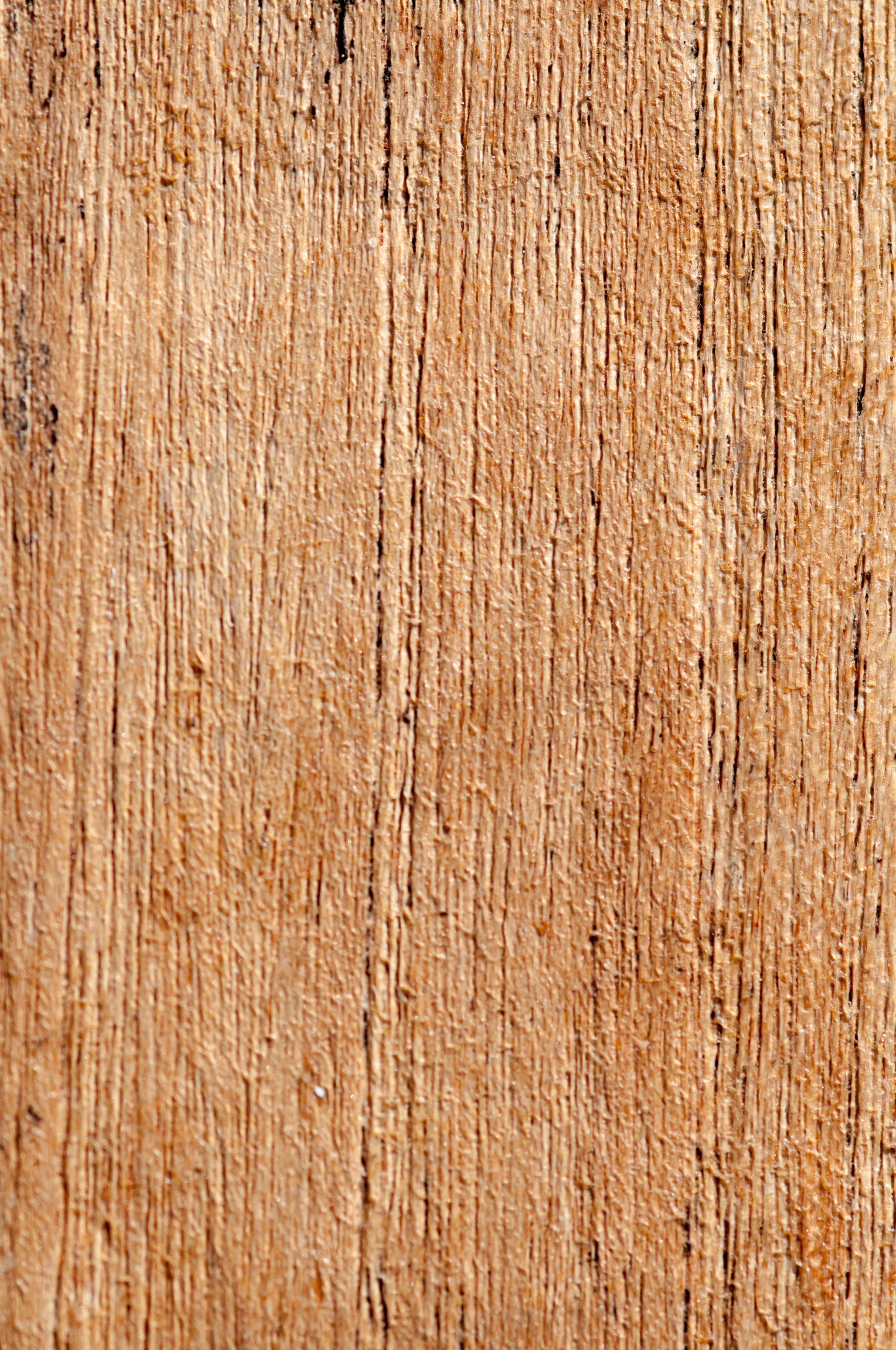 Blank pattern Wood Texture Close-Up