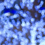 Blue Glowing Blurry Bokeh Street X-mas Lights