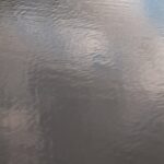 Calm pond water ripples