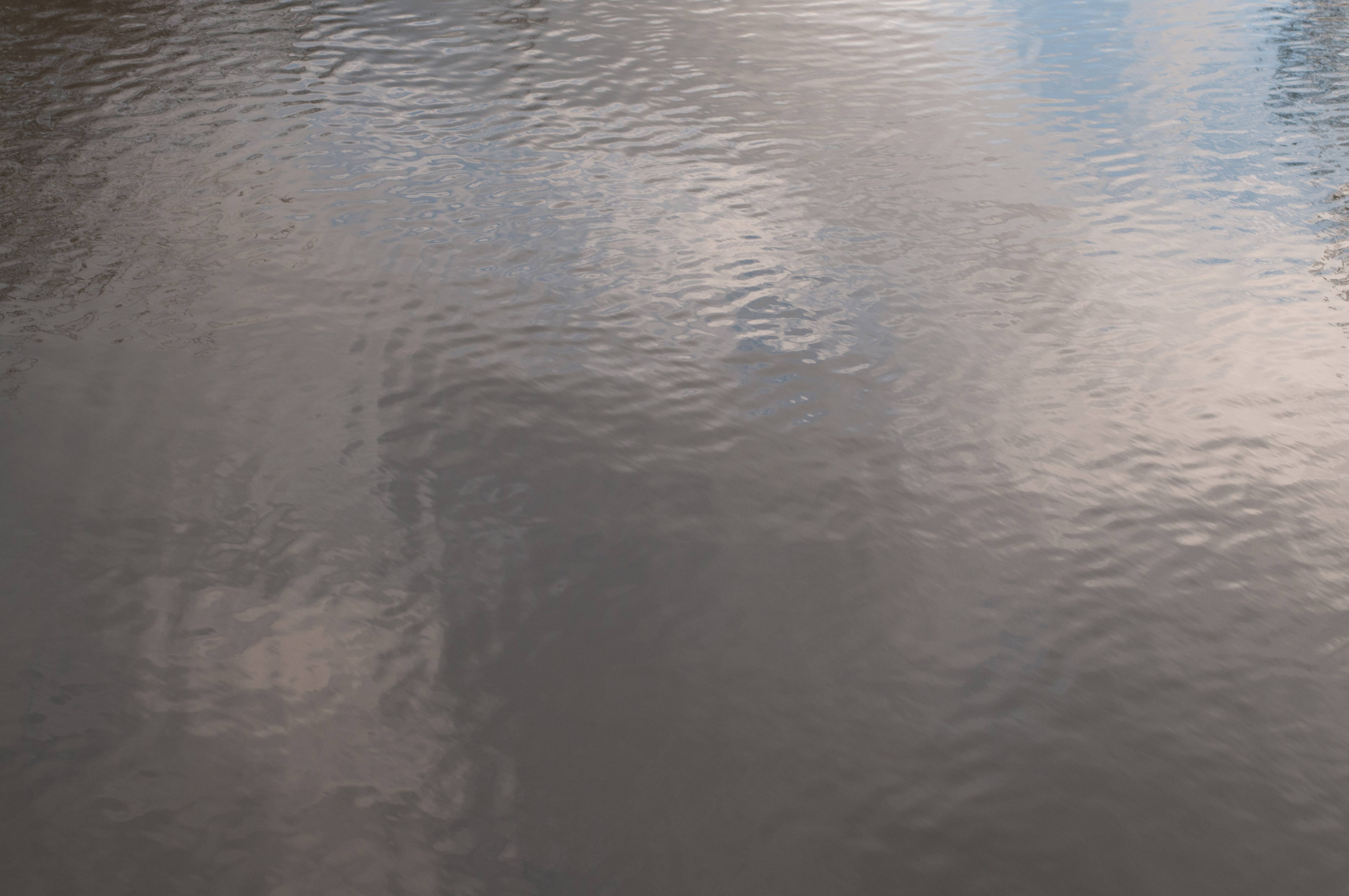 Calm pond water ripples