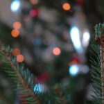 Christmas tree lights bokeh in the evening