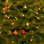 Christmas Tree Lights