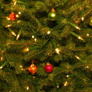 Christmas Tree Lights