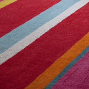 Colourfull Striped Carped