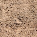 Dirt sand and Goat poop