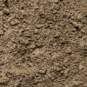 Fertile earth background