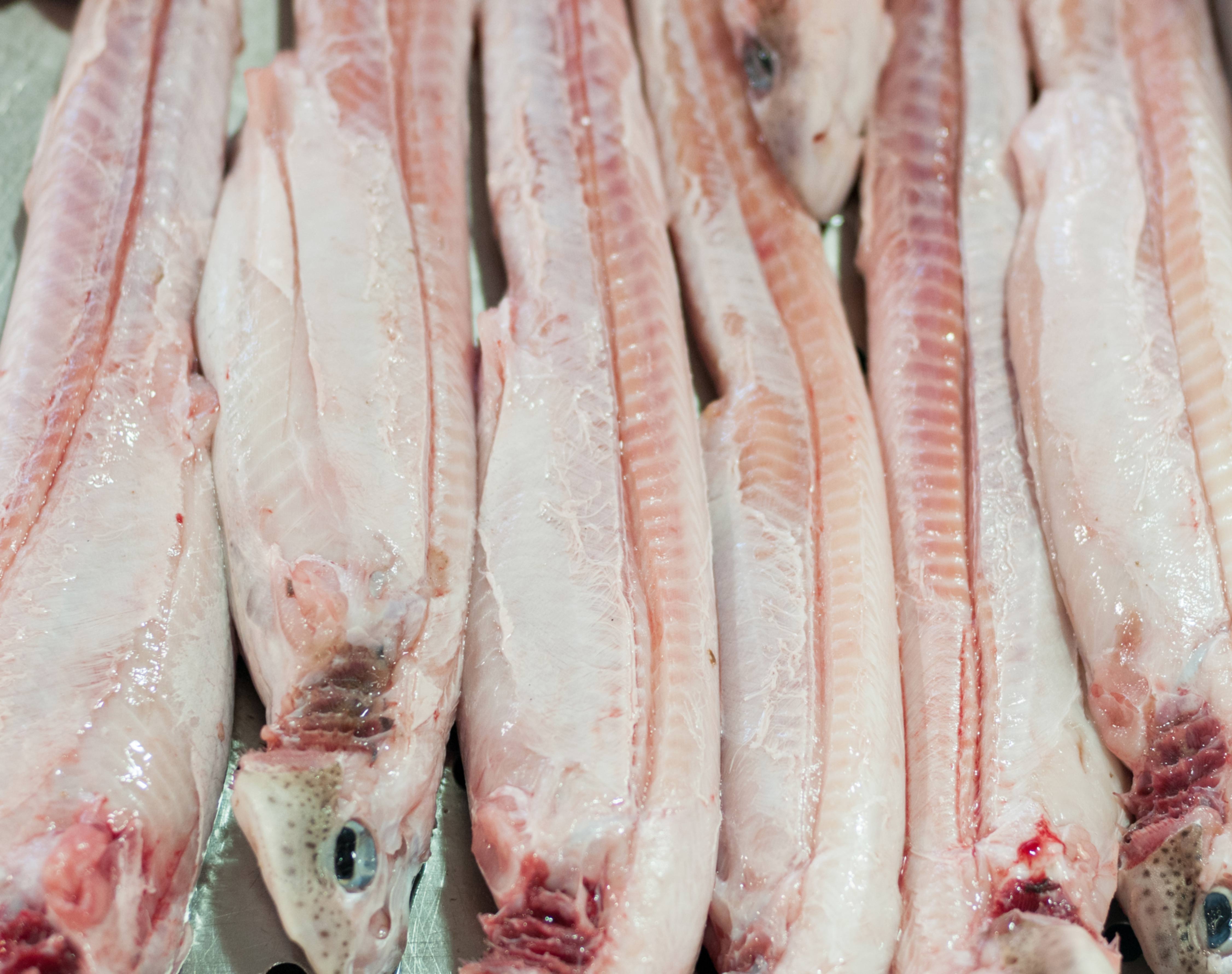 Filleted fish background texture