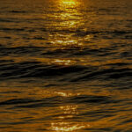 Golden hour sea sunshine