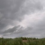 Grass and grey cloudy sky