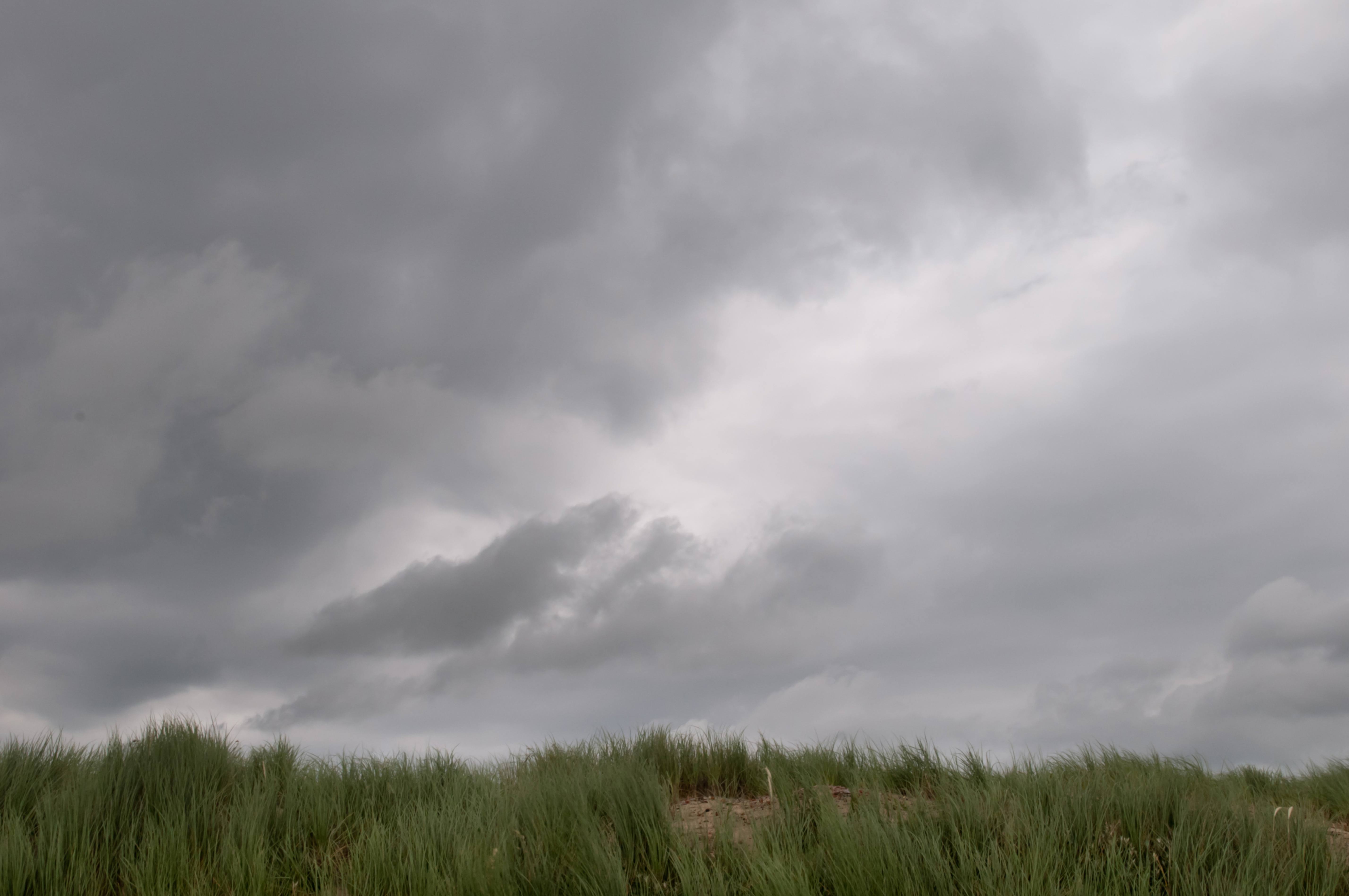 Grass and grey cloudy sky