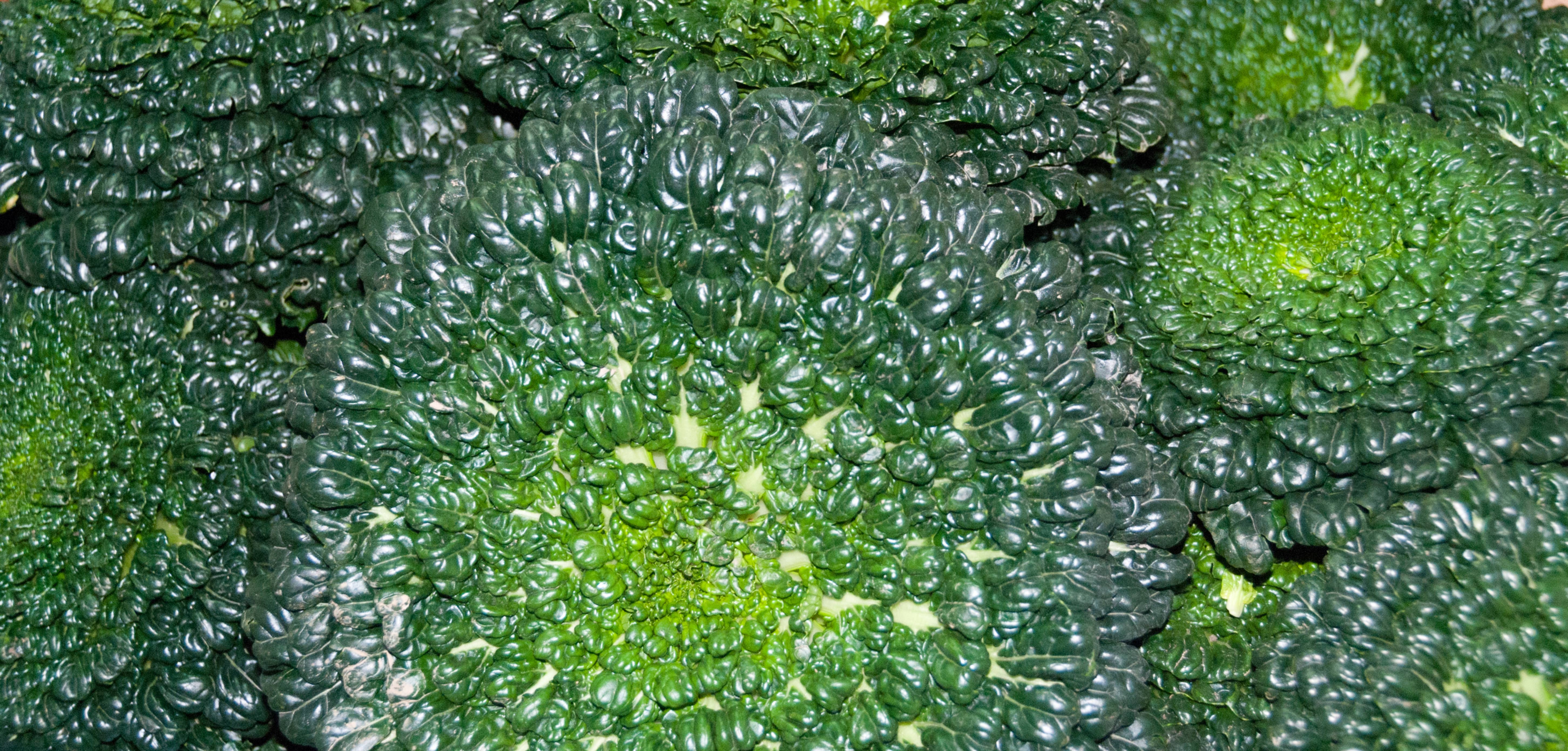 Green Vegetable background