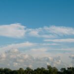 Green treeline and cloudy blue sky