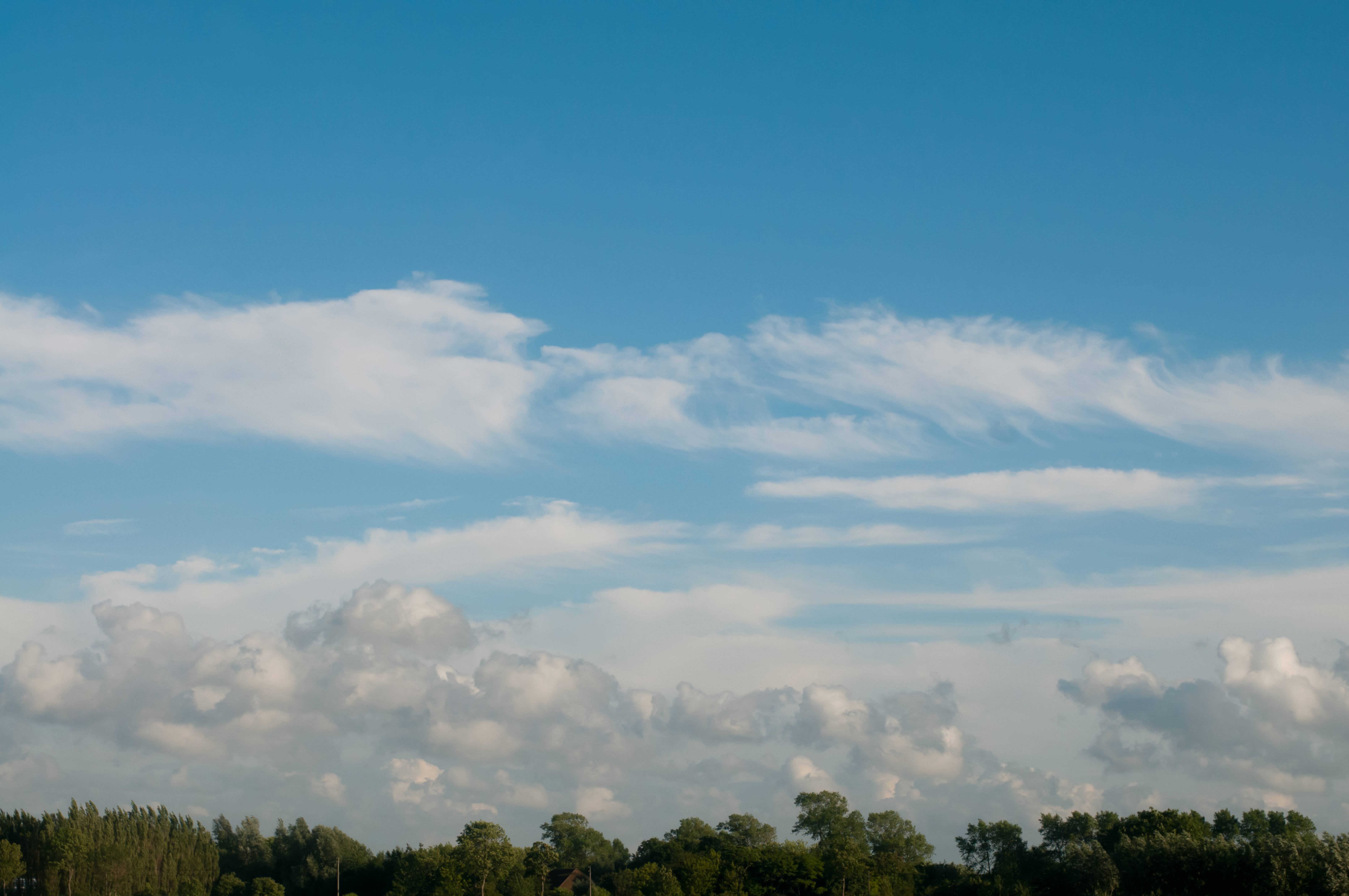 Green treeline and cloudy blue sky