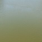 Green water calm surface