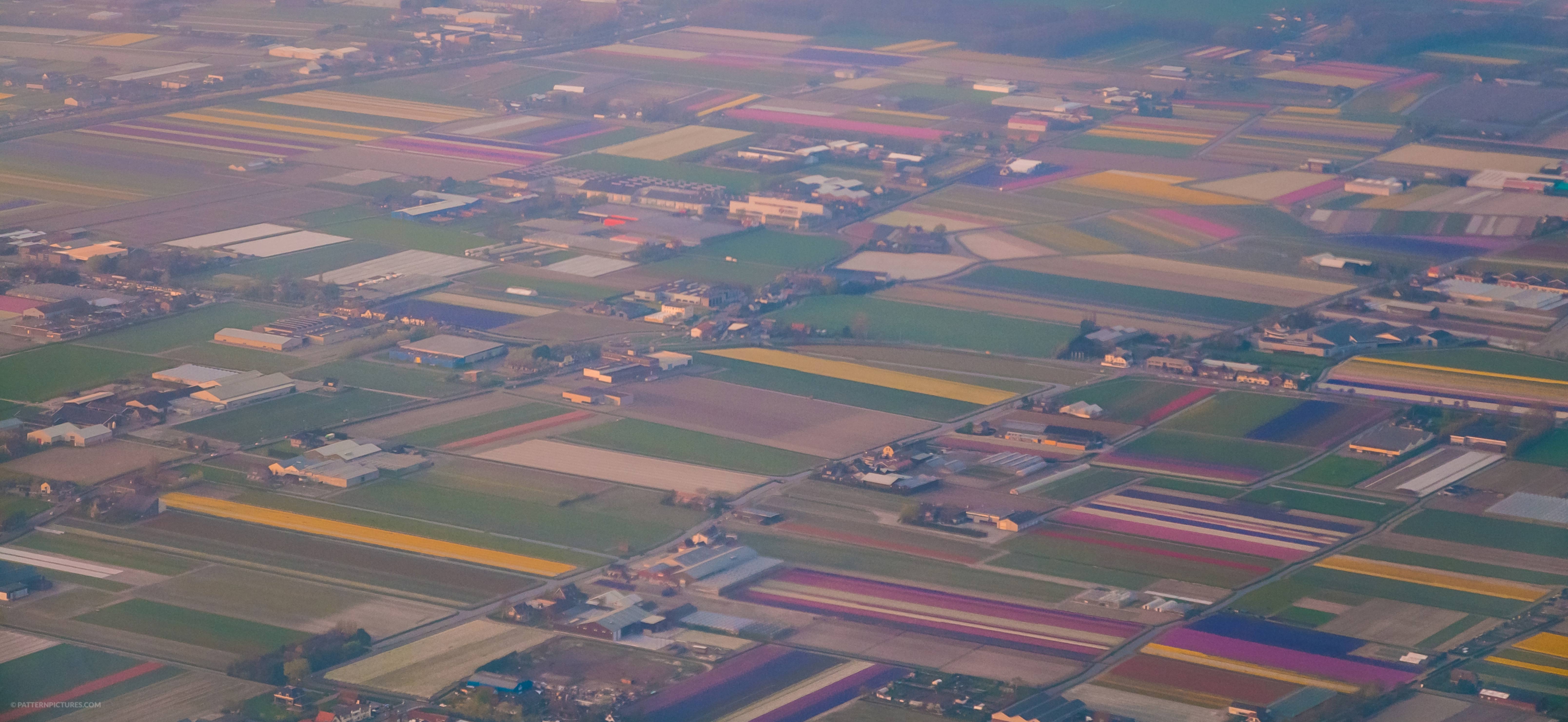 Landscape Netherlands airphoto flowerfields