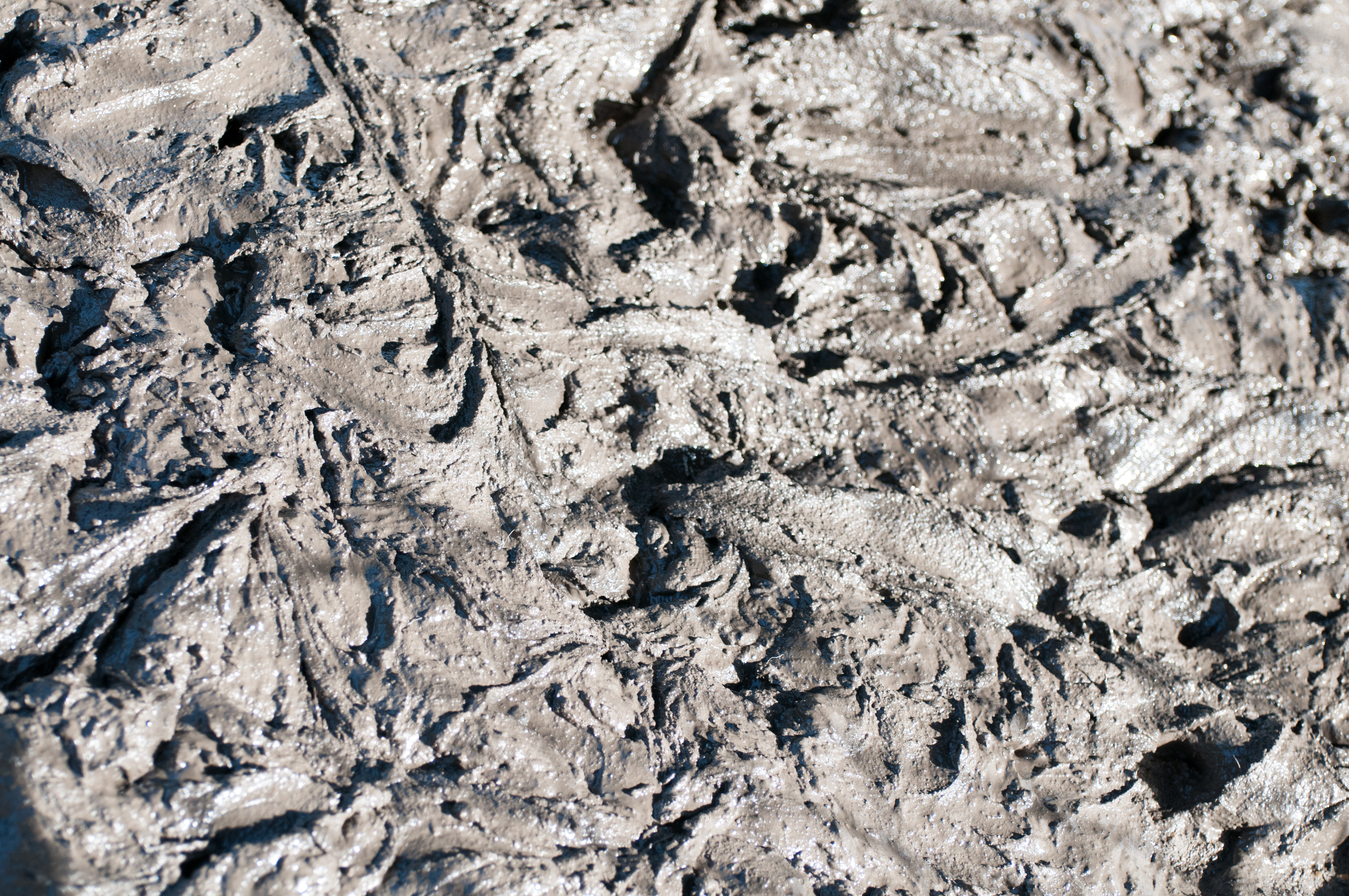 Mud texture pattern