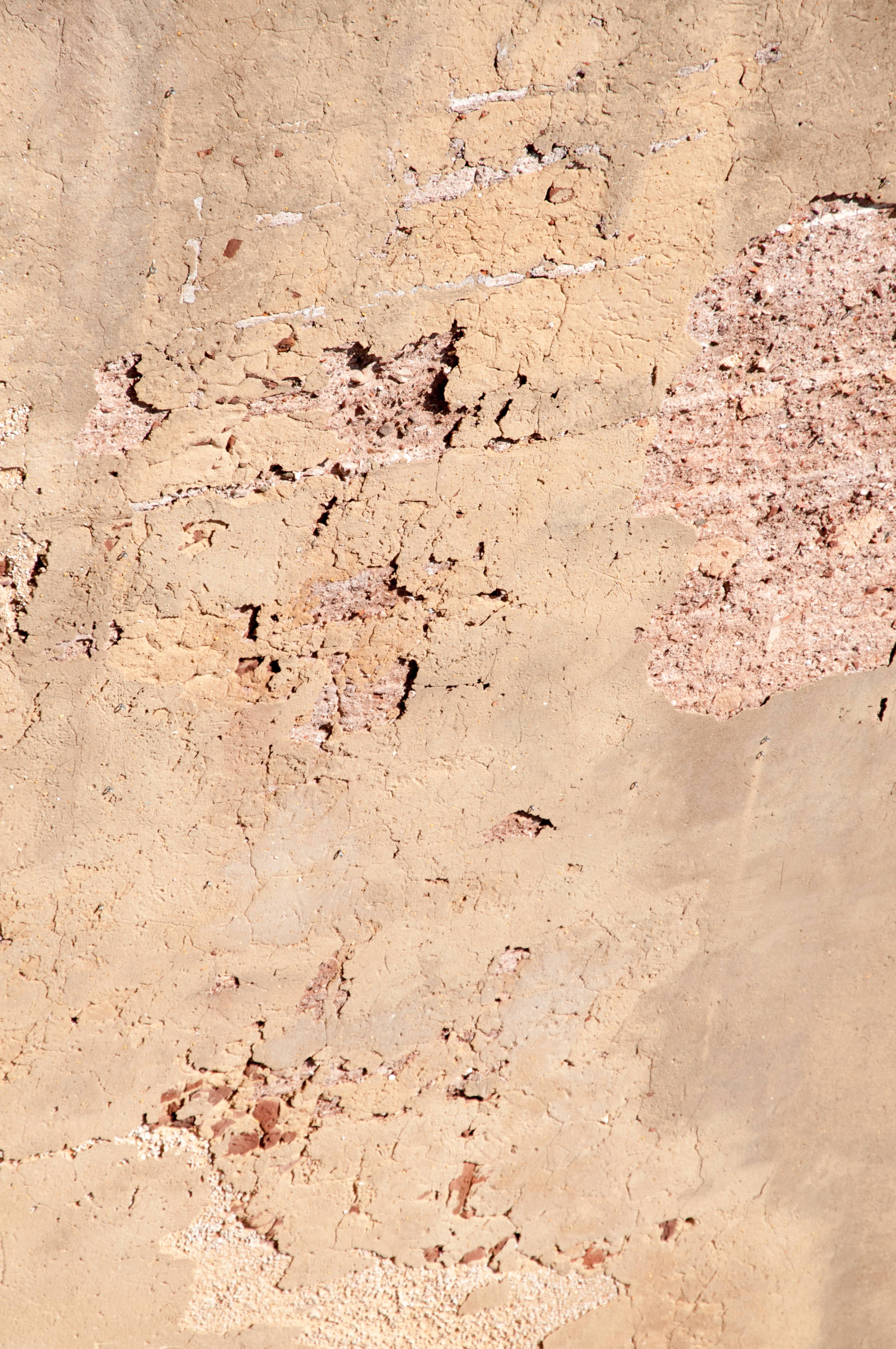 Old Wall and Plaster