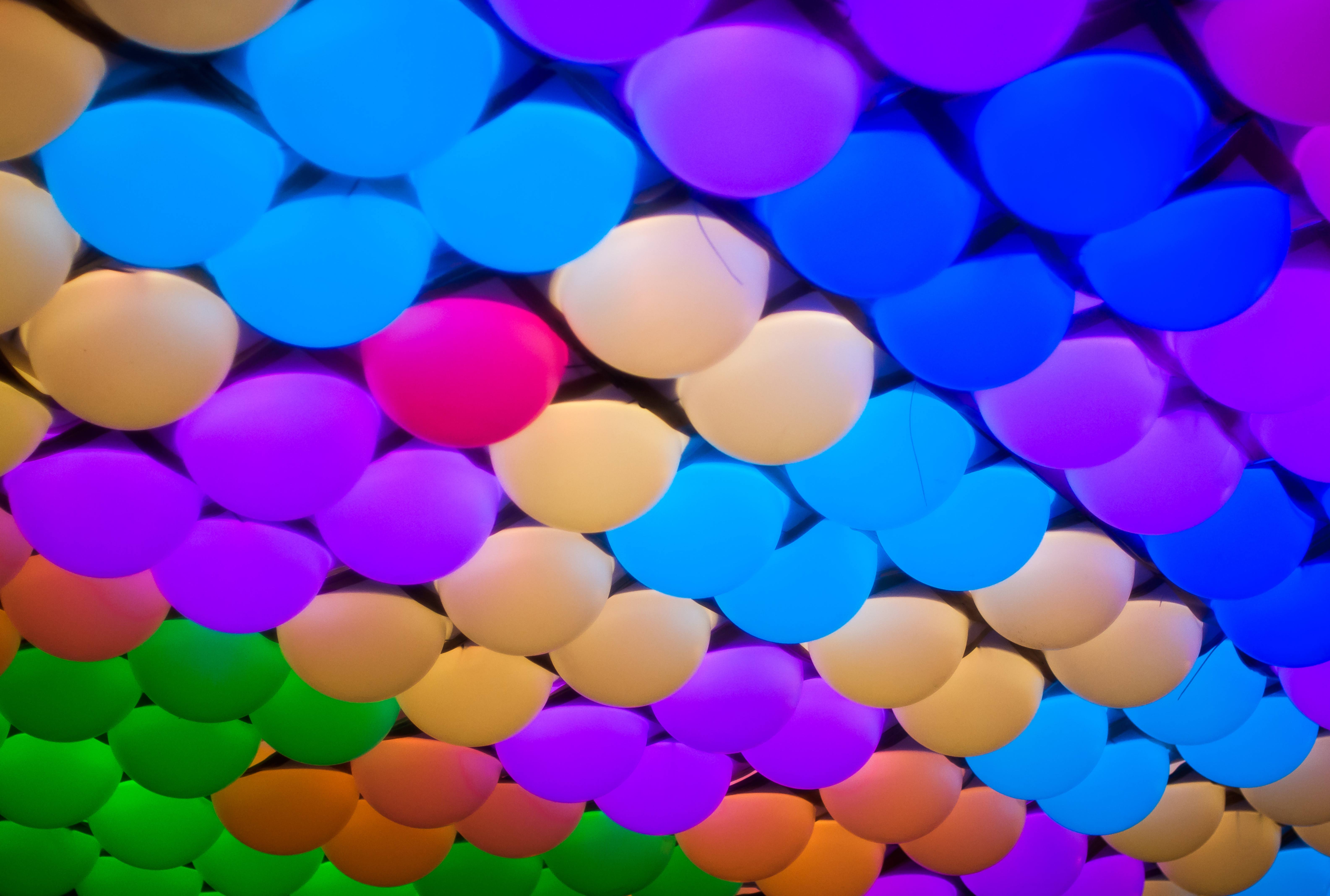 Multi Colored Light Bulbs