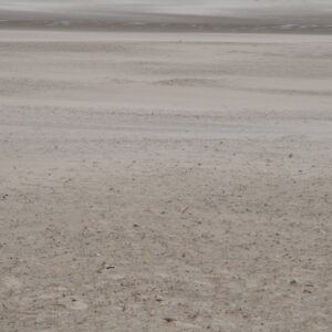 Beach Sand Storm