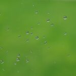 Water Drops on the and Green Blurry Background