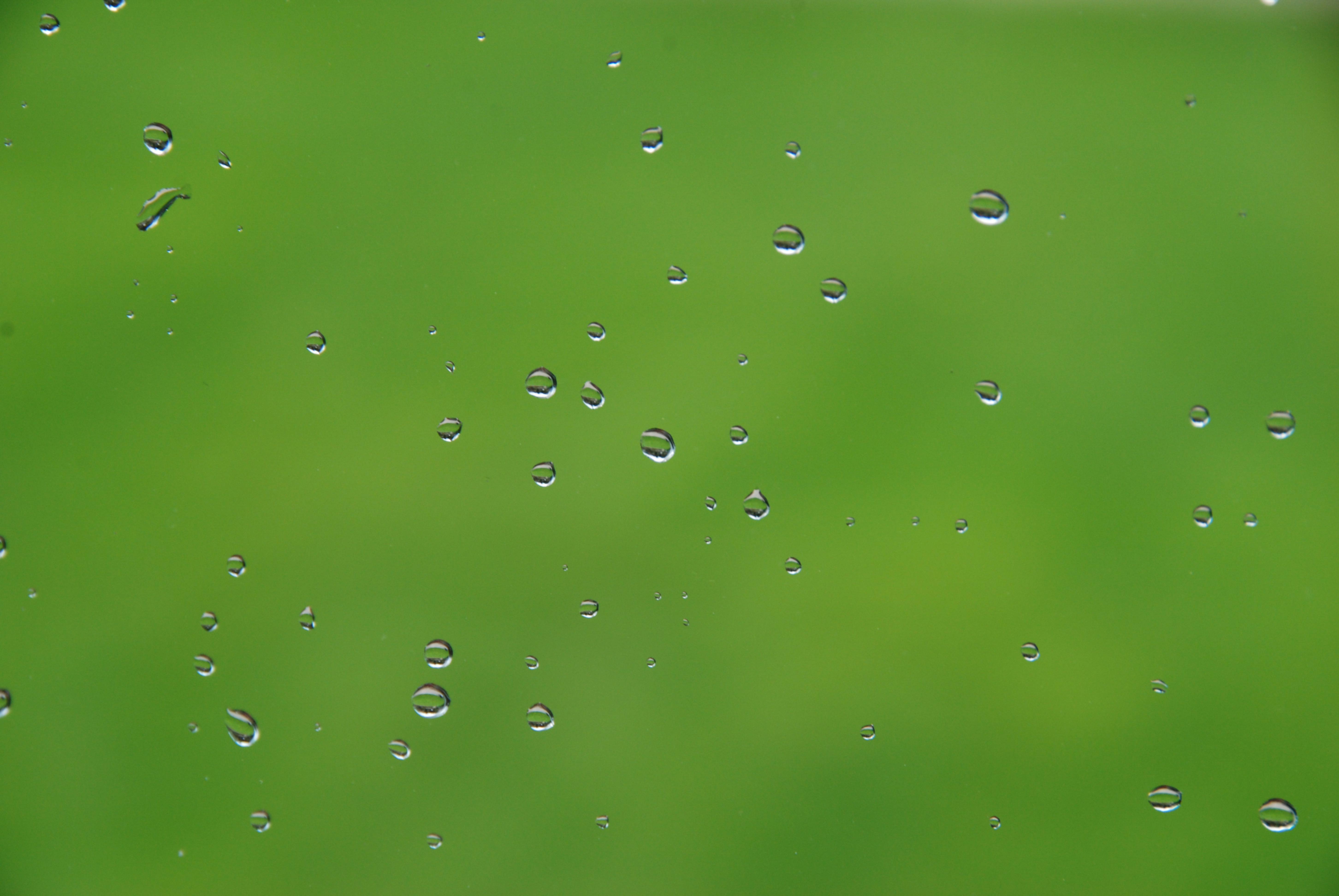 Water Drops on the and Green Blurry Background