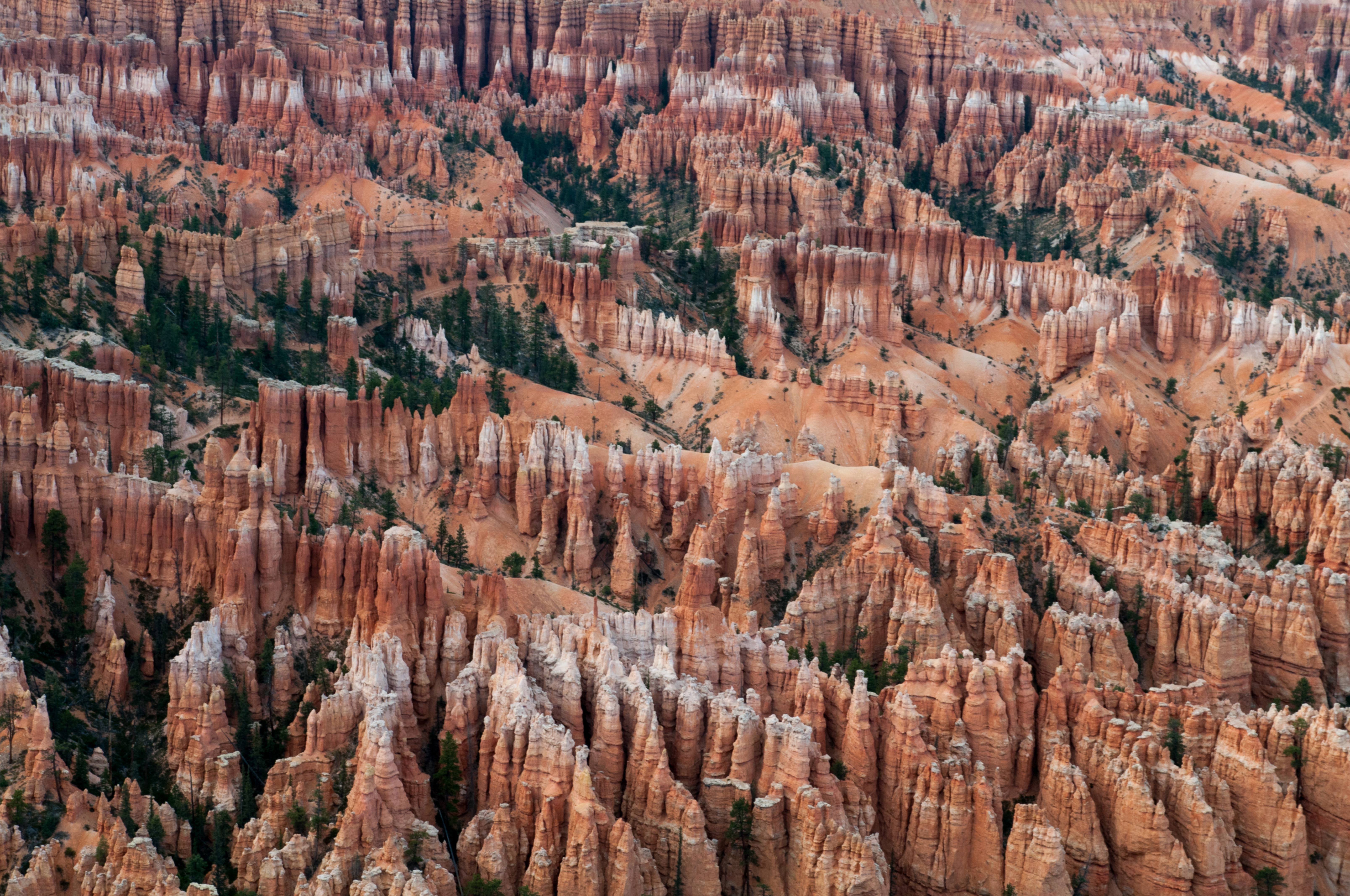 Hoodoos Formations Bryce