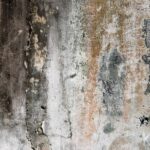 Grunge Concrete Wall