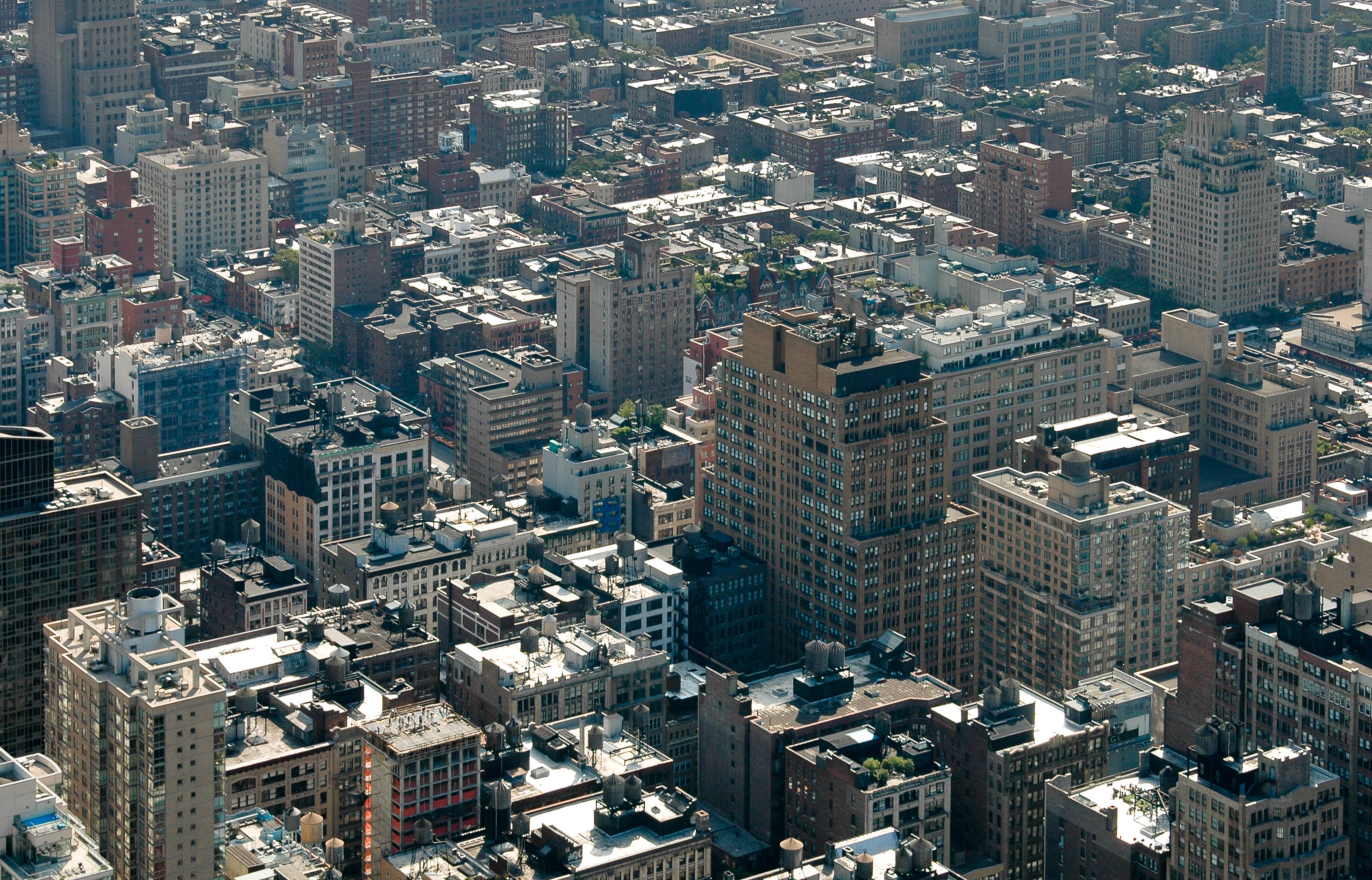 New York Concrete Jungle