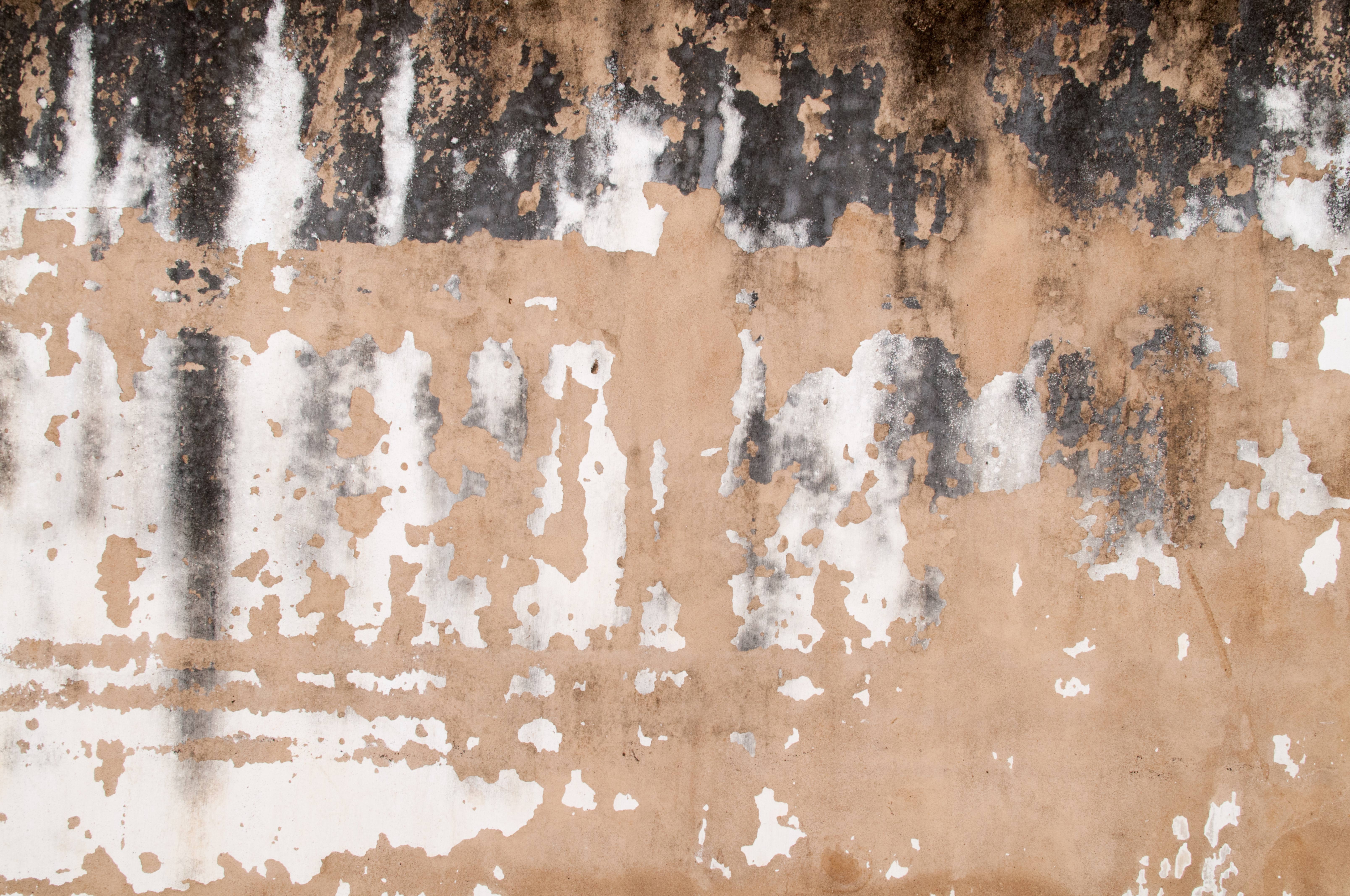 Concrete Grunge Wall