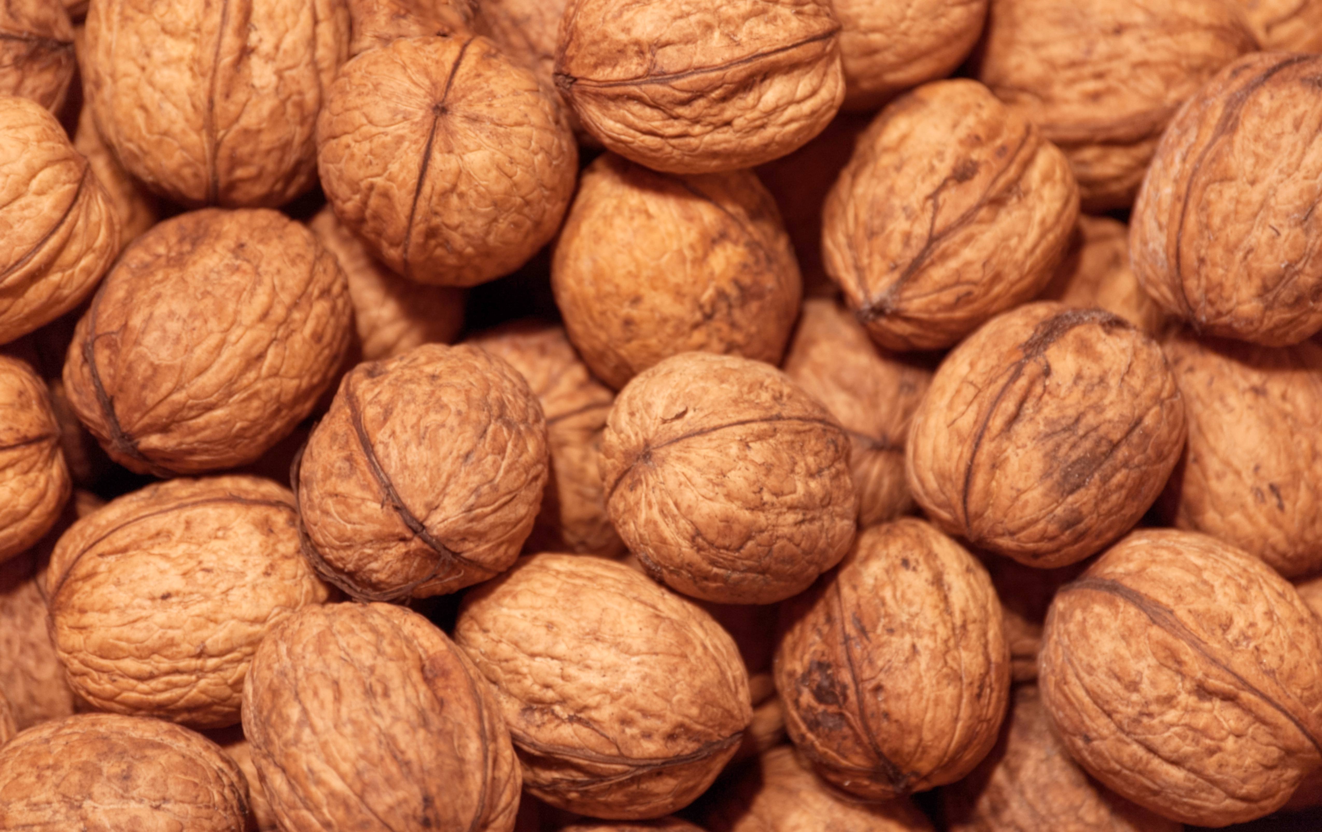 Pile of Walnuts