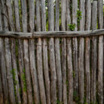 Prehistoric wooden fence logs