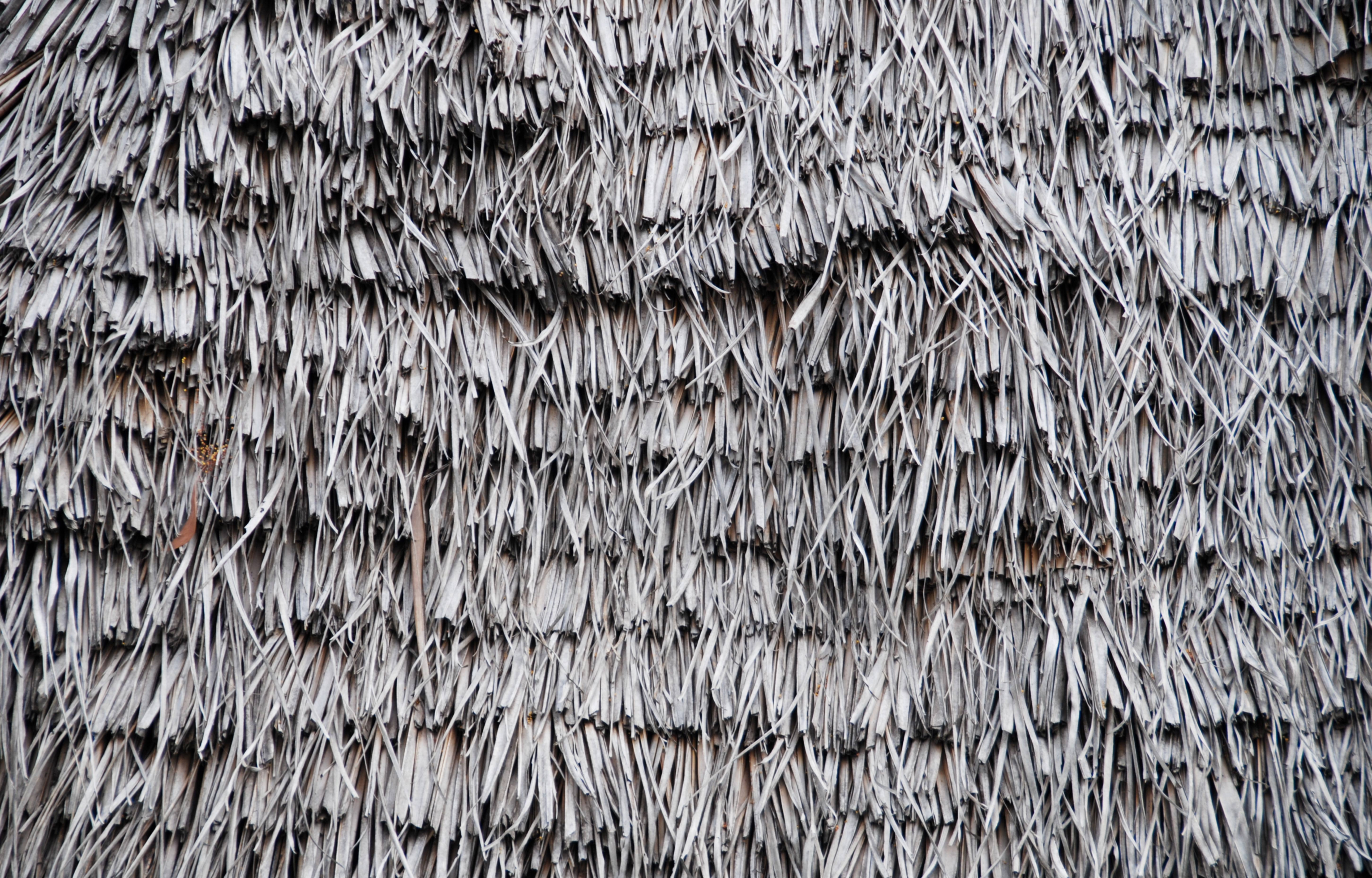 Reed Roof background free photo