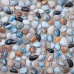 Sea shells with sand as background