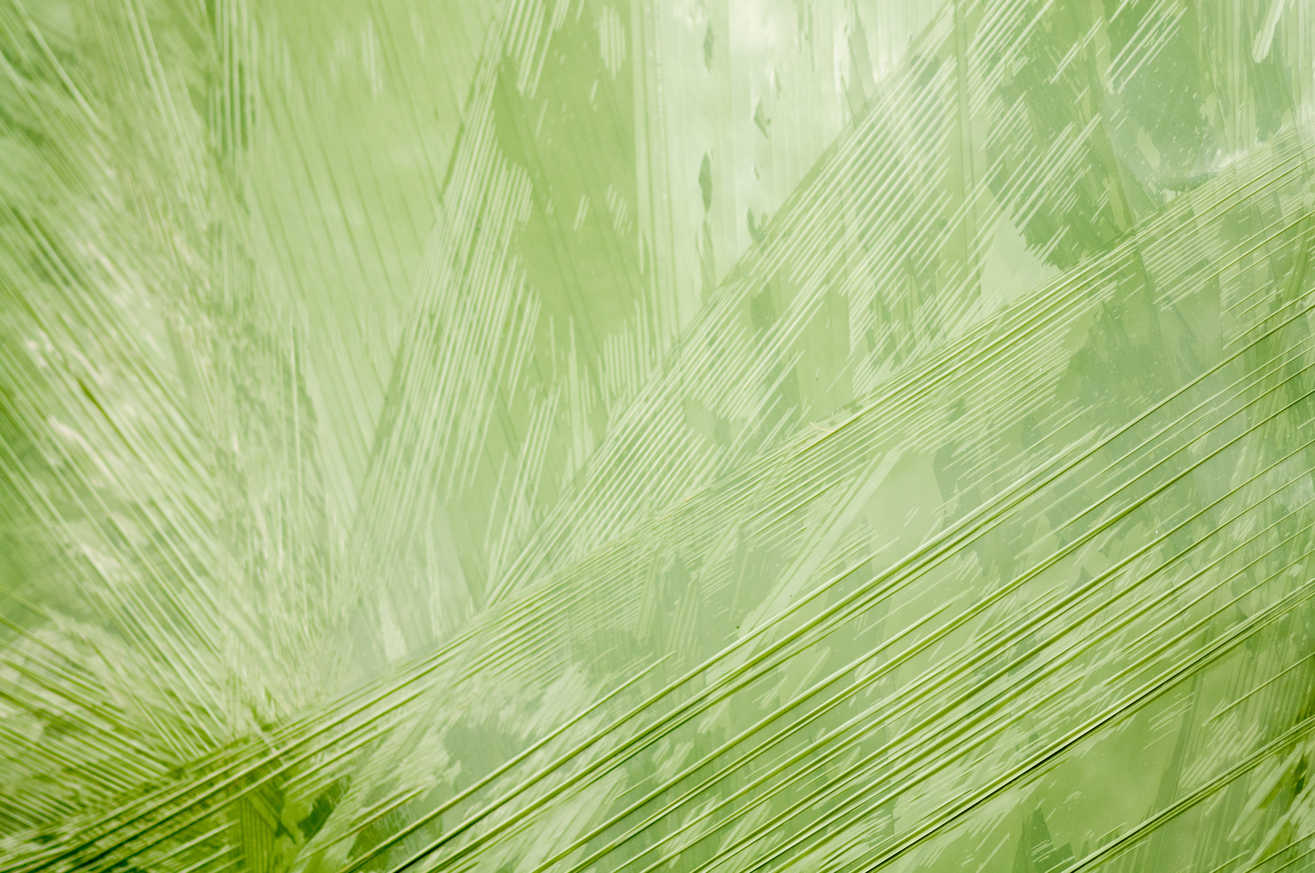 Sealed in plastic wrapper