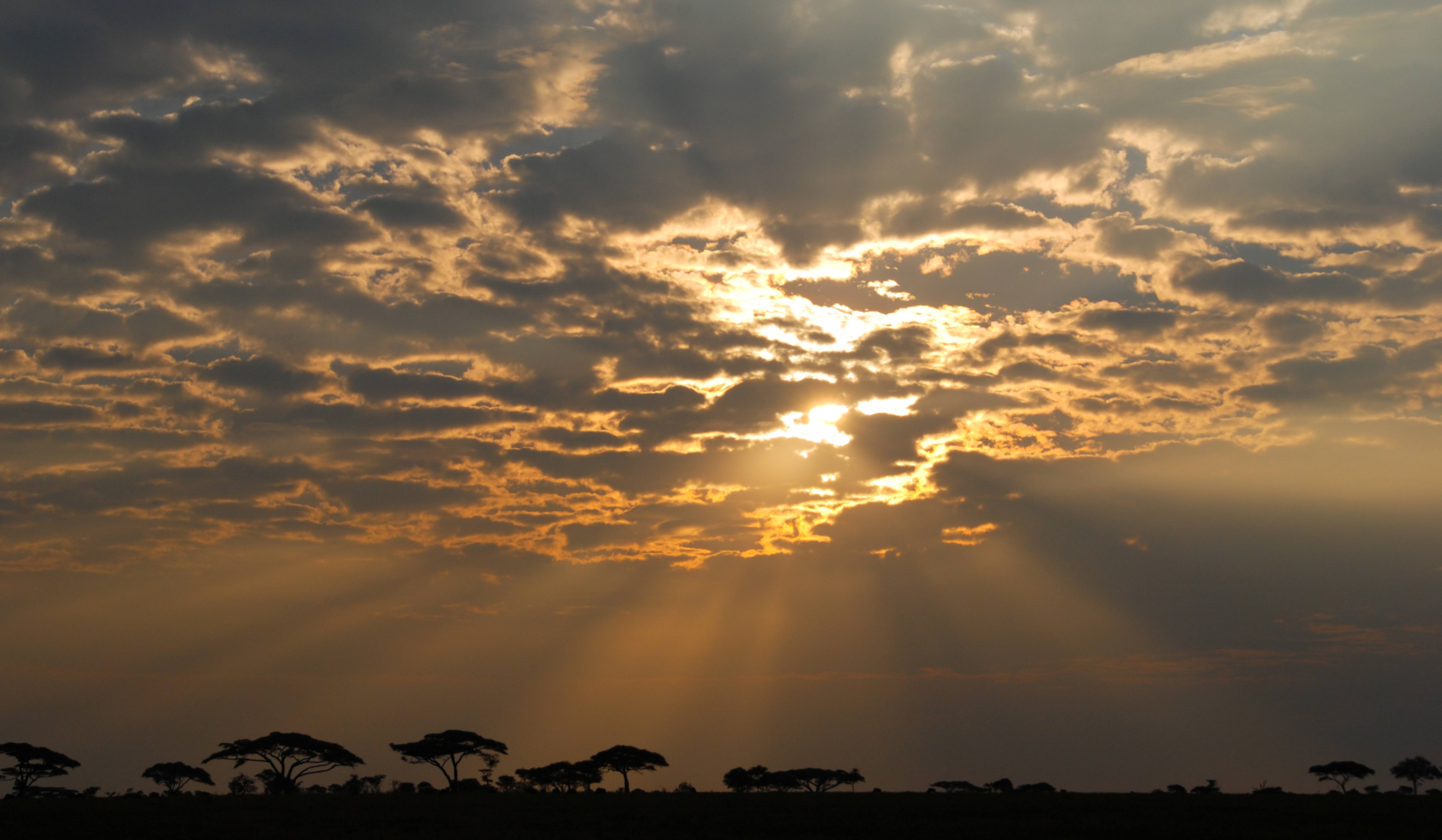 Serengeti National Park sunrise, Tanzania, Africa