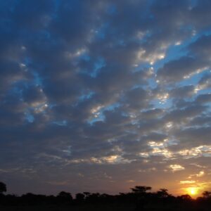 Serengeti sunrise clouds and landscape silhouette