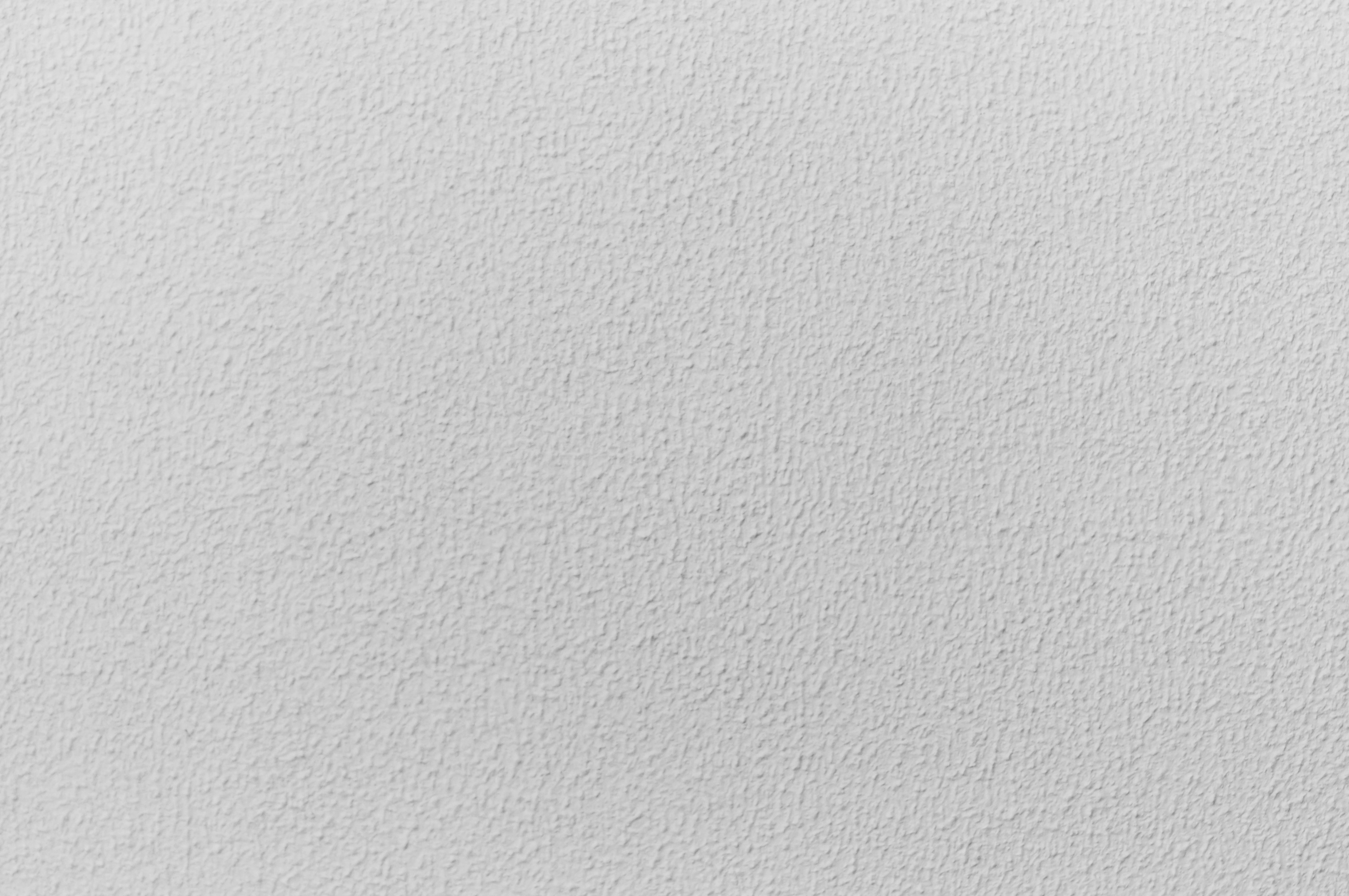 Subtle Plaster Texture White Wall