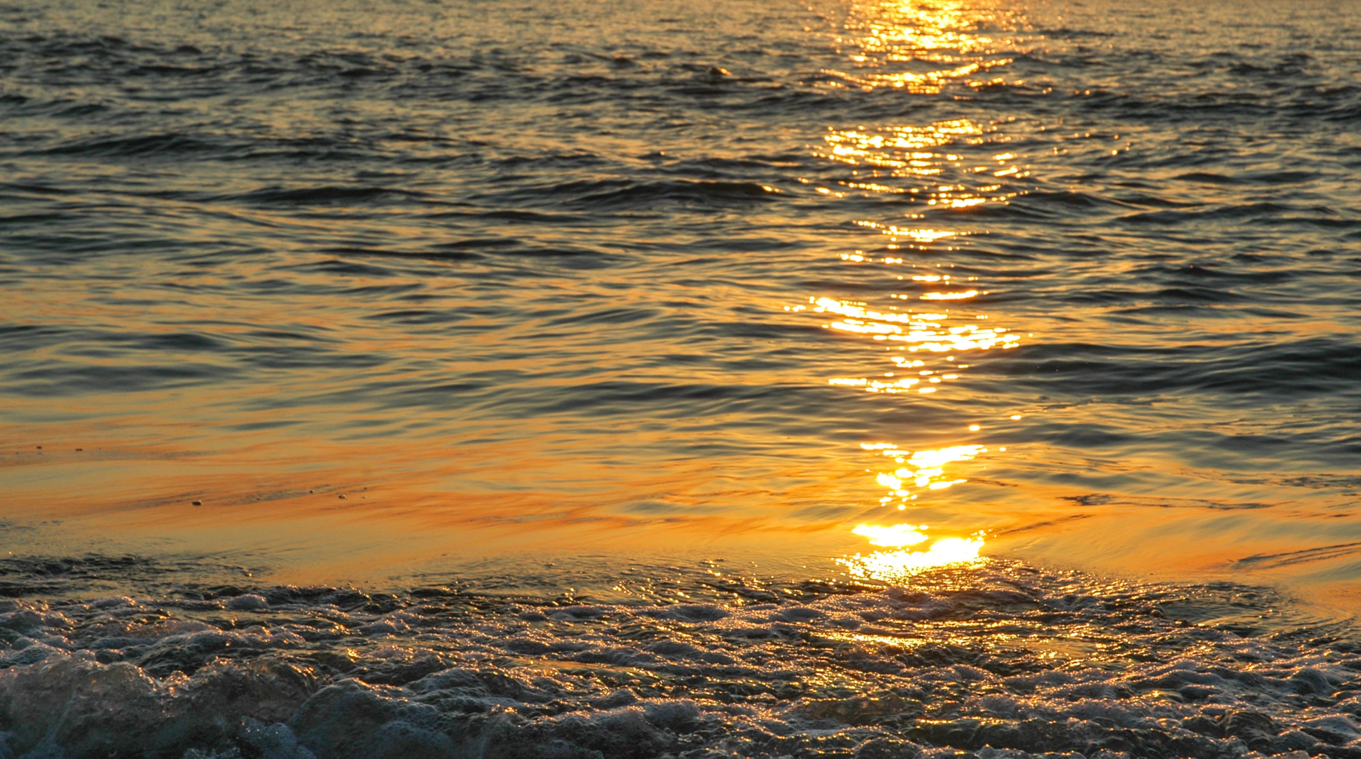 Sunset ocean shore beach waves