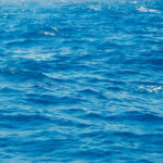 Tropical blue ocean free water texture