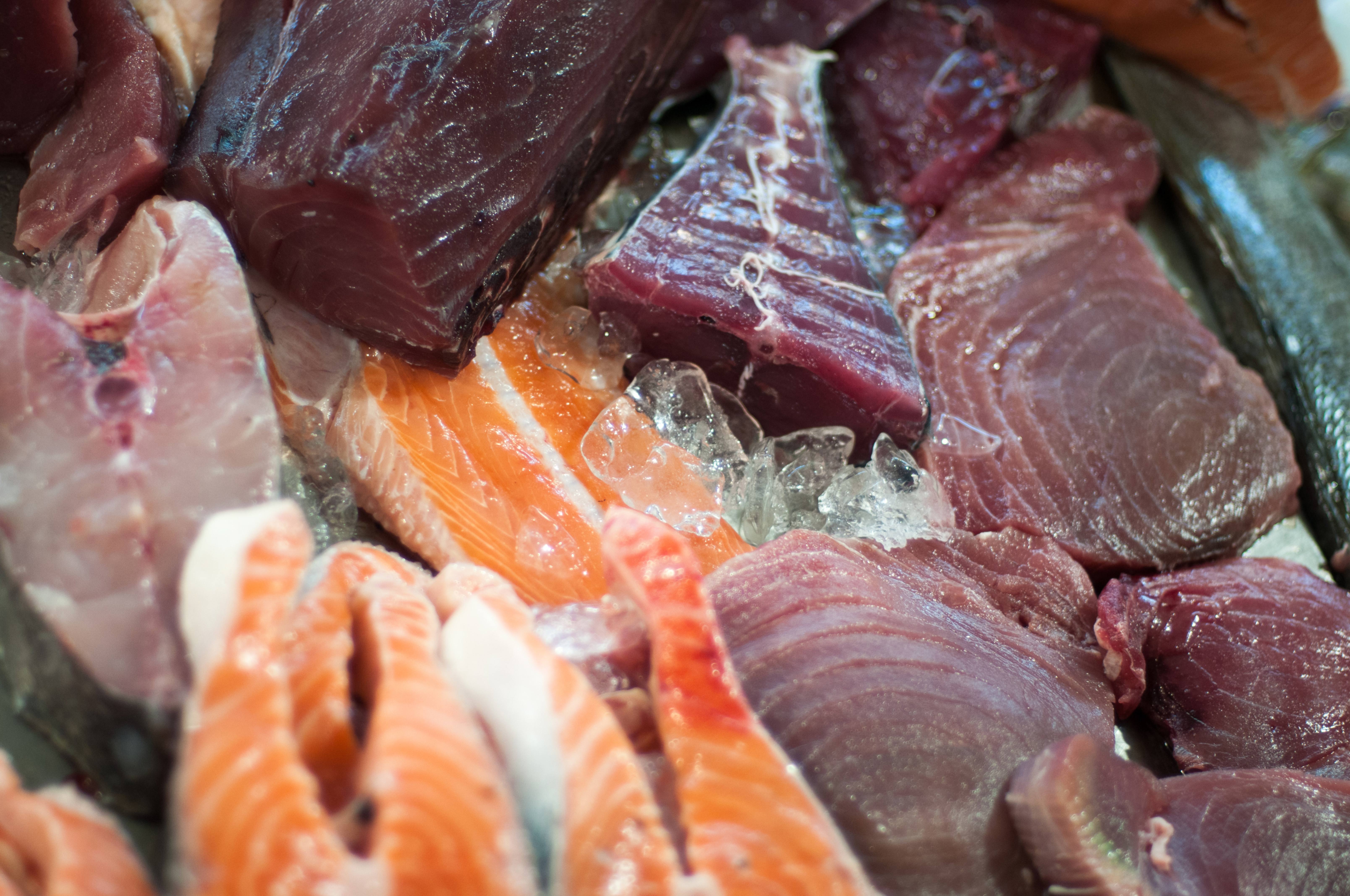 Variety of colorful fresh fish on ice at fishmarket