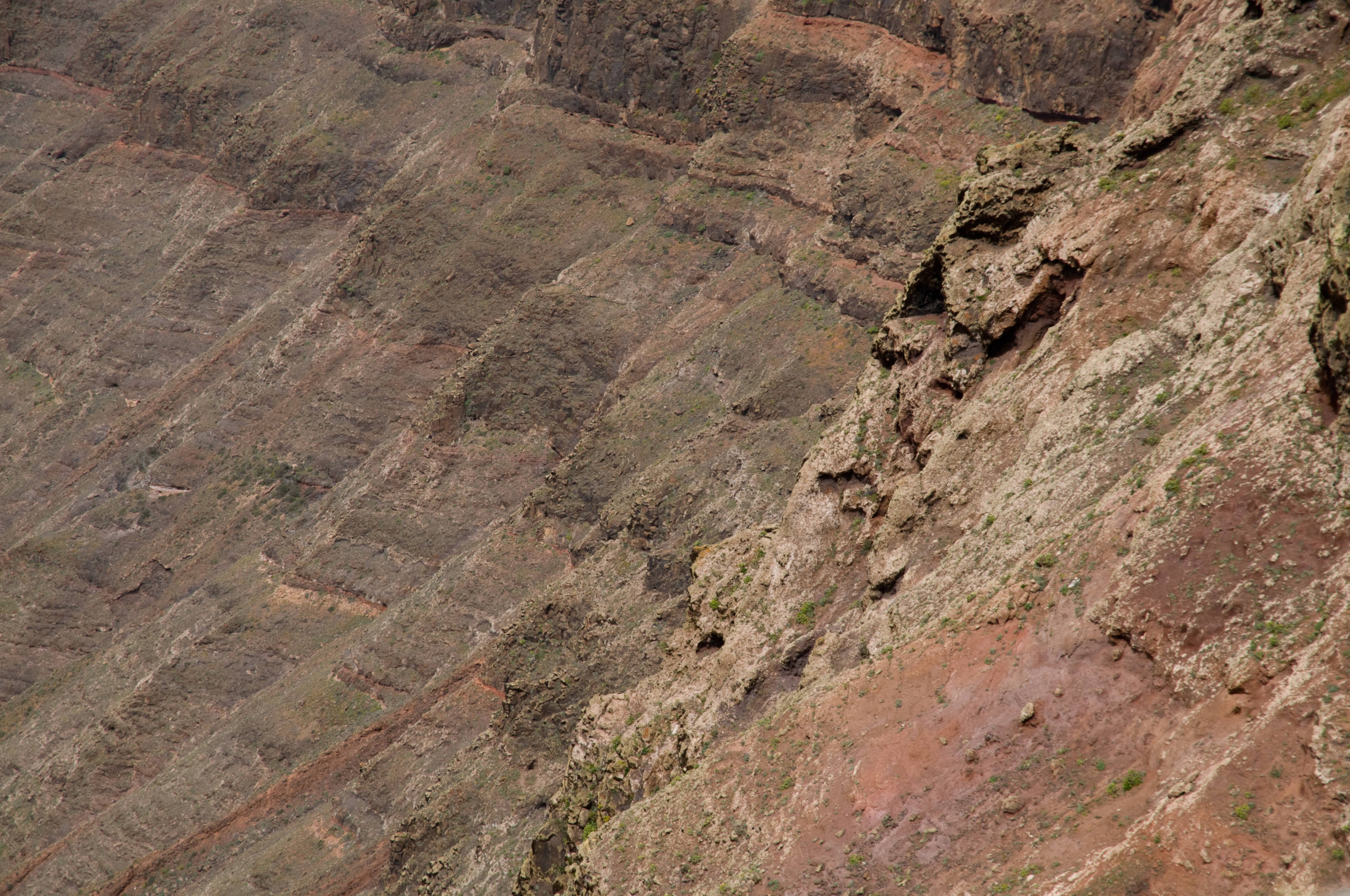 Vulcanic hillside background