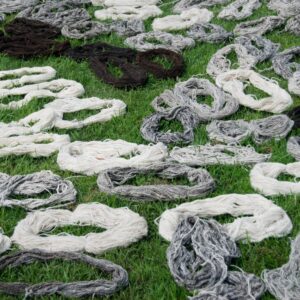 Wash and Drying Wool Pattern in the Grass