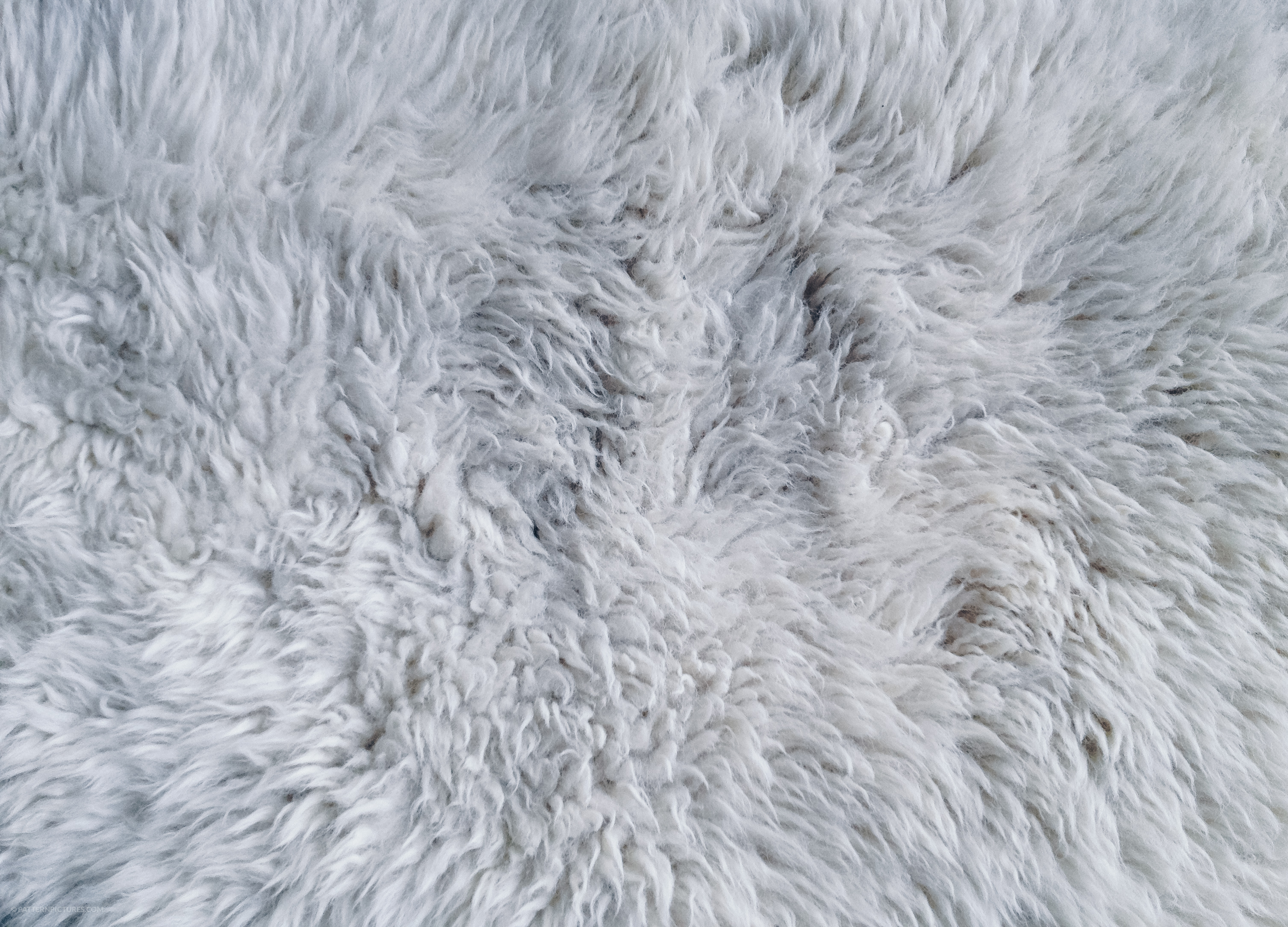 White fur rug texture