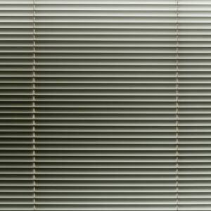Window Shades
