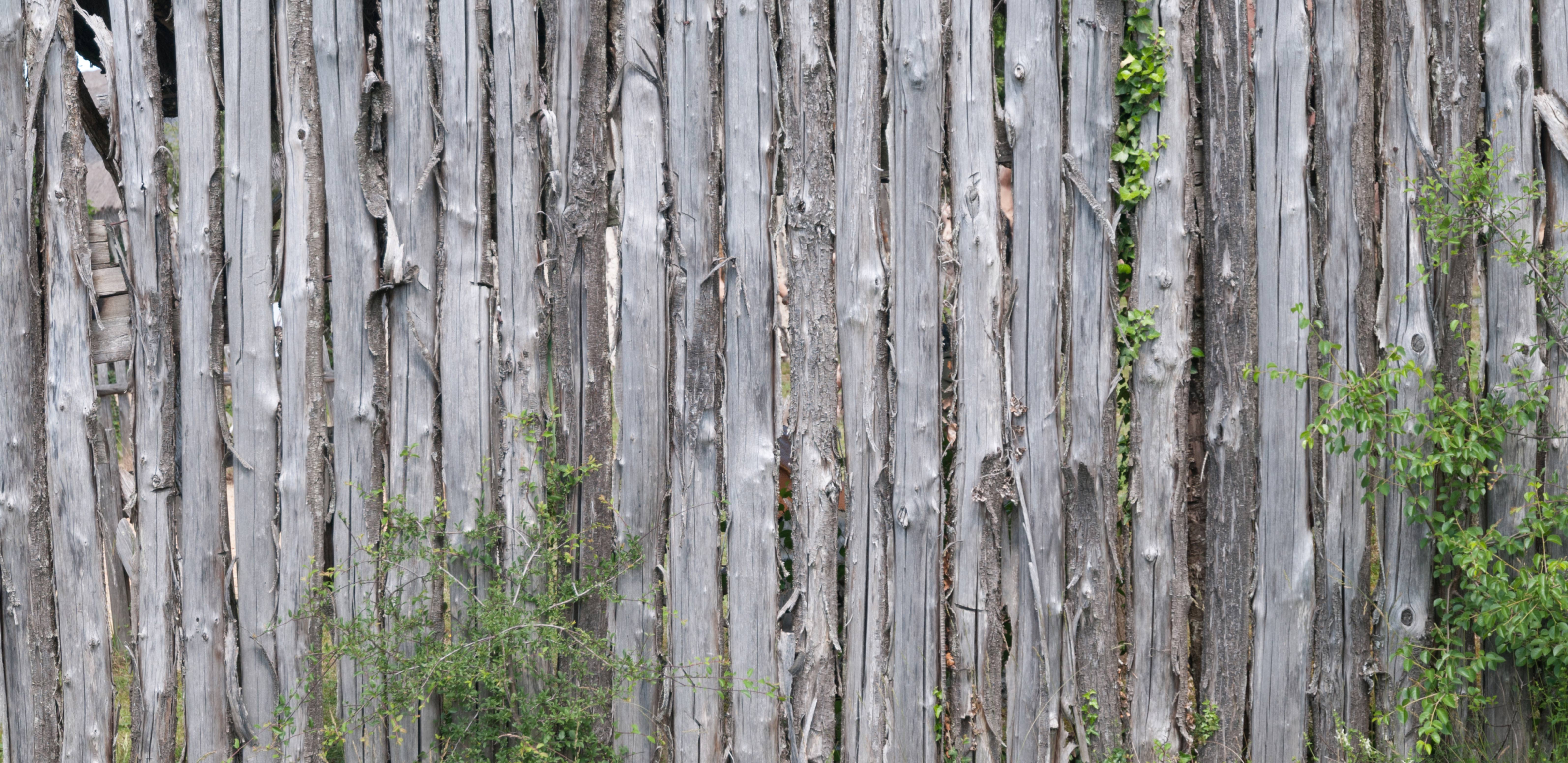 Wood fence texture