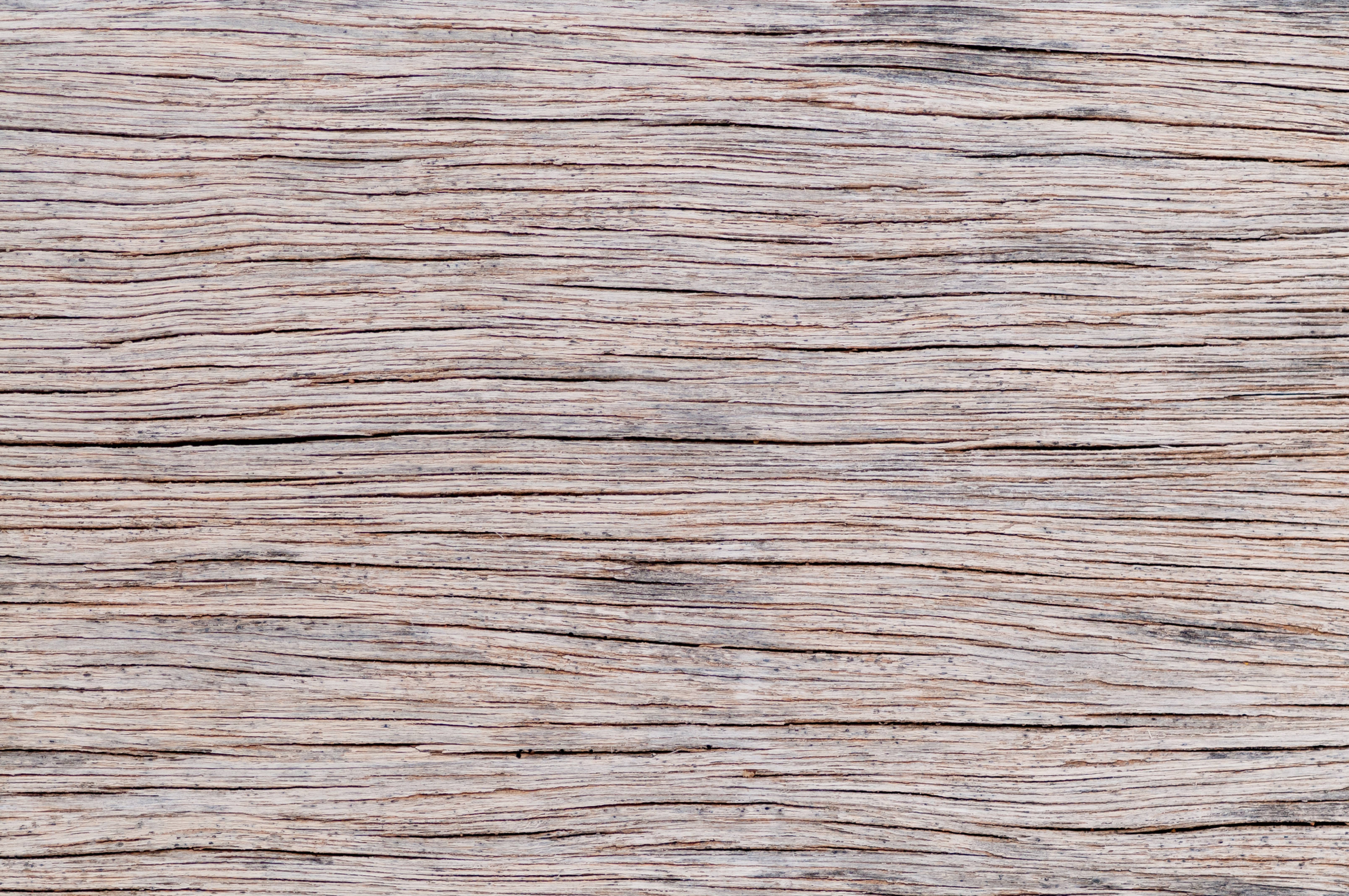 Wood texture background horizontal nerves